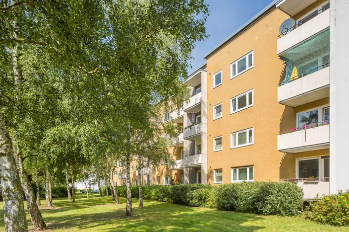 sanierte Wohnung mit neuen Bodenbelag — photo 1